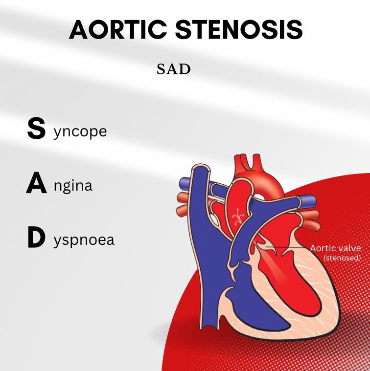 International Fraternity of Medical Students tweet media