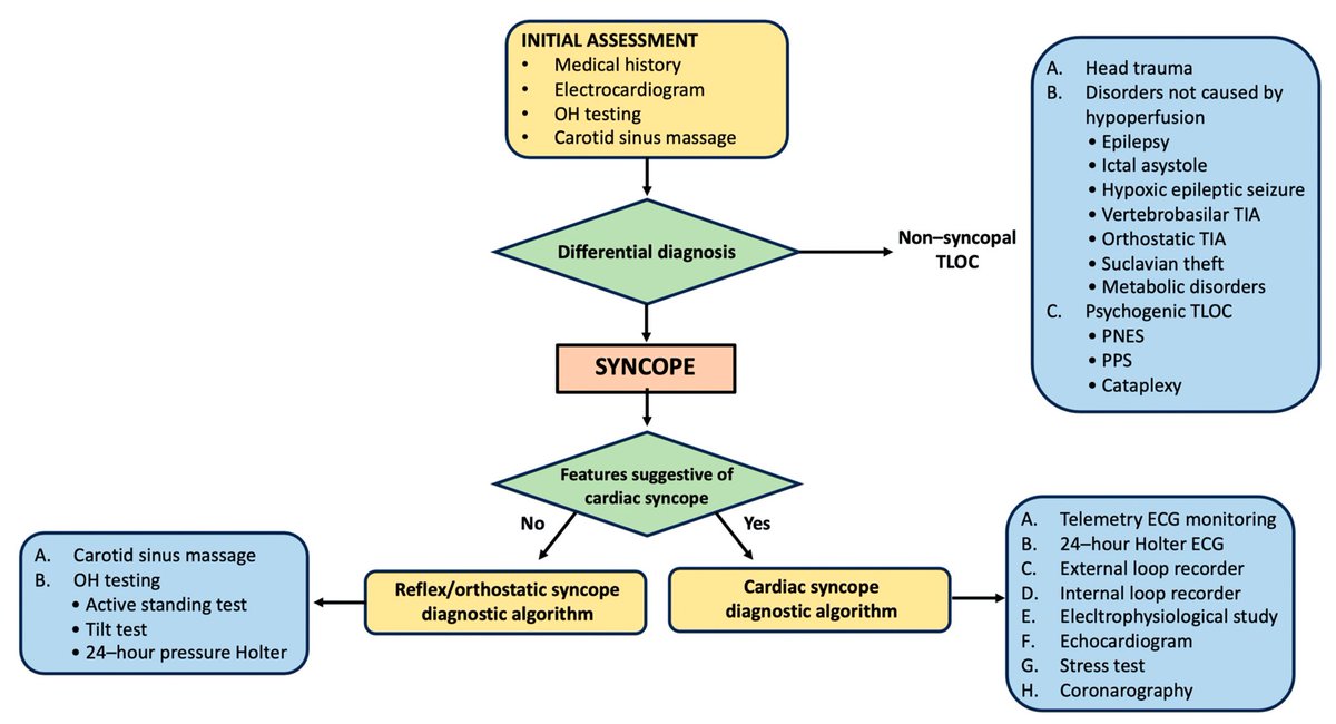 stecacMD's tweet photo. “Recent Advances and Future Directions in #Syncope Management: A Comprehensive Narrative Review” is now available at @JCM_MDPI ☀️ thanks to the co-authors and the @_anmco board for their support @MDPIOpenAccess #CardioTwitter @claudiamassaro_ @mr_giani 

https://t.co/ajszPG5wn9 https://t.co/eo7eSBqw68