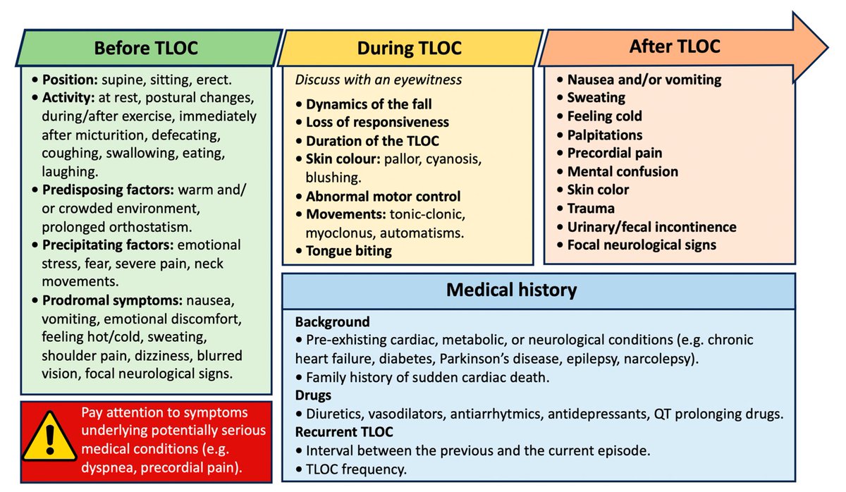 stecacMD's tweet photo. “Recent Advances and Future Directions in #Syncope Management: A Comprehensive Narrative Review” is now available at @JCM_MDPI ☀️ thanks to the co-authors and the @_anmco board for their support @MDPIOpenAccess #CardioTwitter @claudiamassaro_ @mr_giani 

https://t.co/ajszPG5wn9 https://t.co/eo7eSBqw68