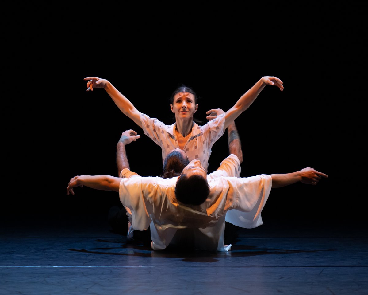 ACWorkroom tweet media