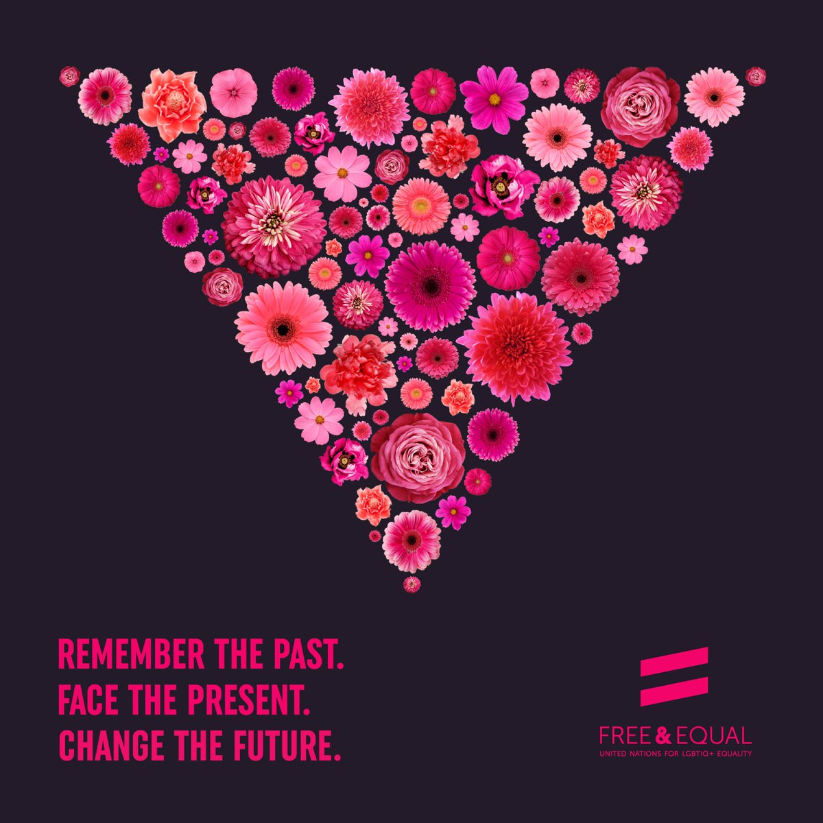 free_equal tweet picture