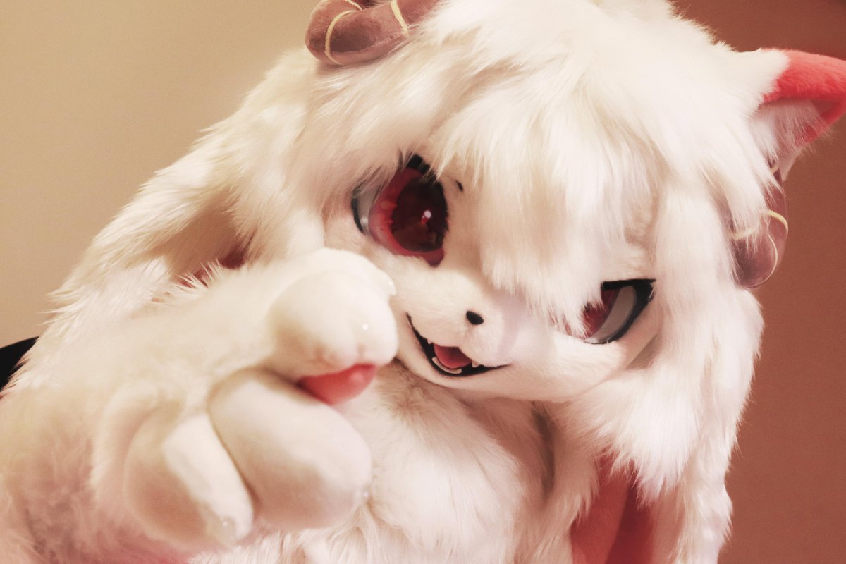 ATMeow_A's tweet photo. 第一次毛5
#FursuitFriday https://t.co/JUtQjpIrdQ