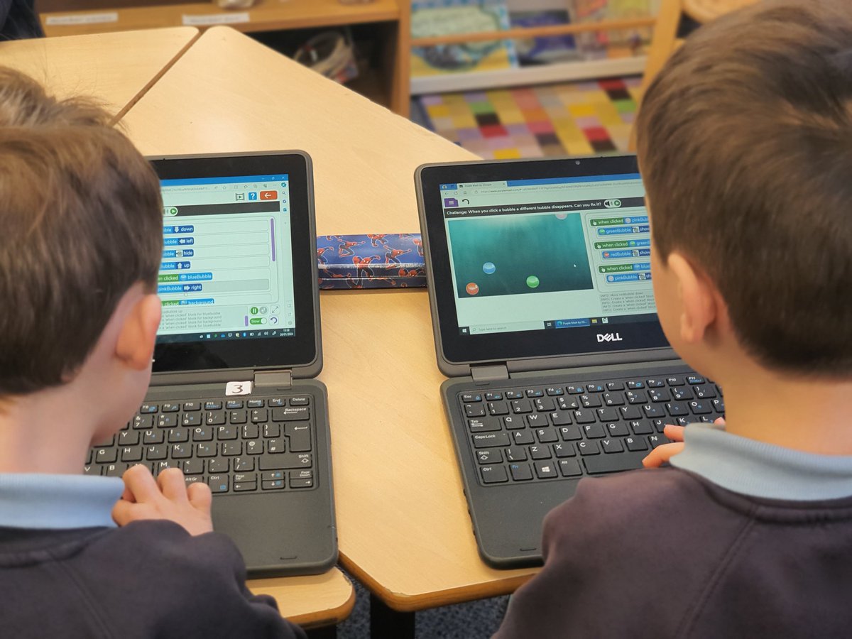 Adlington Primary Cheshire tweet media