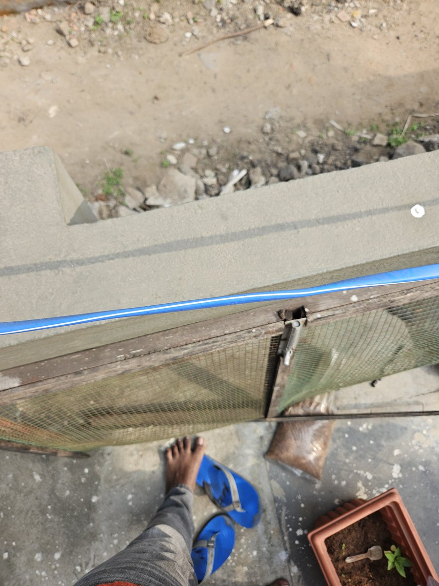 tmkvarun's tweet photo. Live electricity wire hanging low and inside compund wall. Despite complaints no action taken.
Location: Madhavaram 600060
@mkstalin @chennaicorp @Udhaystalin @CMOTamilnadu @electricitytam @tnebltd @TANGEDCO_Offcl https://t.co/HI3I6yoLDv