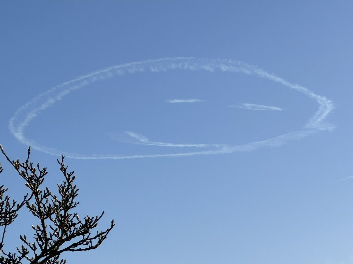 Mark Martin tweet media