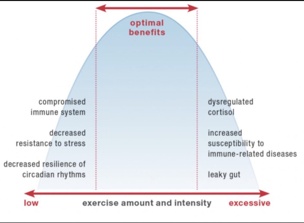 GammaGlyp's tweet photo. @Alan_Couzens Hello @Alan_Couzens 
First of thanks very much for all your  invaluable insights !
Do you think there is a basis to not training too much (I know you recommend daily or so zone 1 or 2 training…because it could cause inflammation etc…cf the kind of below graphs…many thanks https://t.co/Q5oow5OPCf