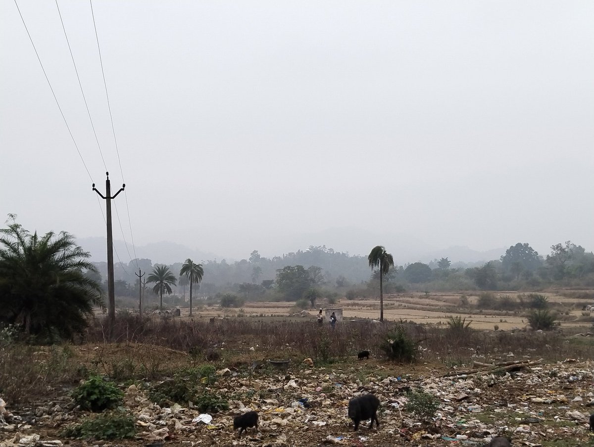 AlligondaSamiti's tweet photo. This is the small #water tank used to supply water for #Alligonda Village/GP, which is not at sufficient. Need of overhead tank for the very.
#PMOIndia #CMO_Odisha #DM_Gajapati #bdo_mohana #PRDeptOdisha https://t.co/1R6uBuoKeg