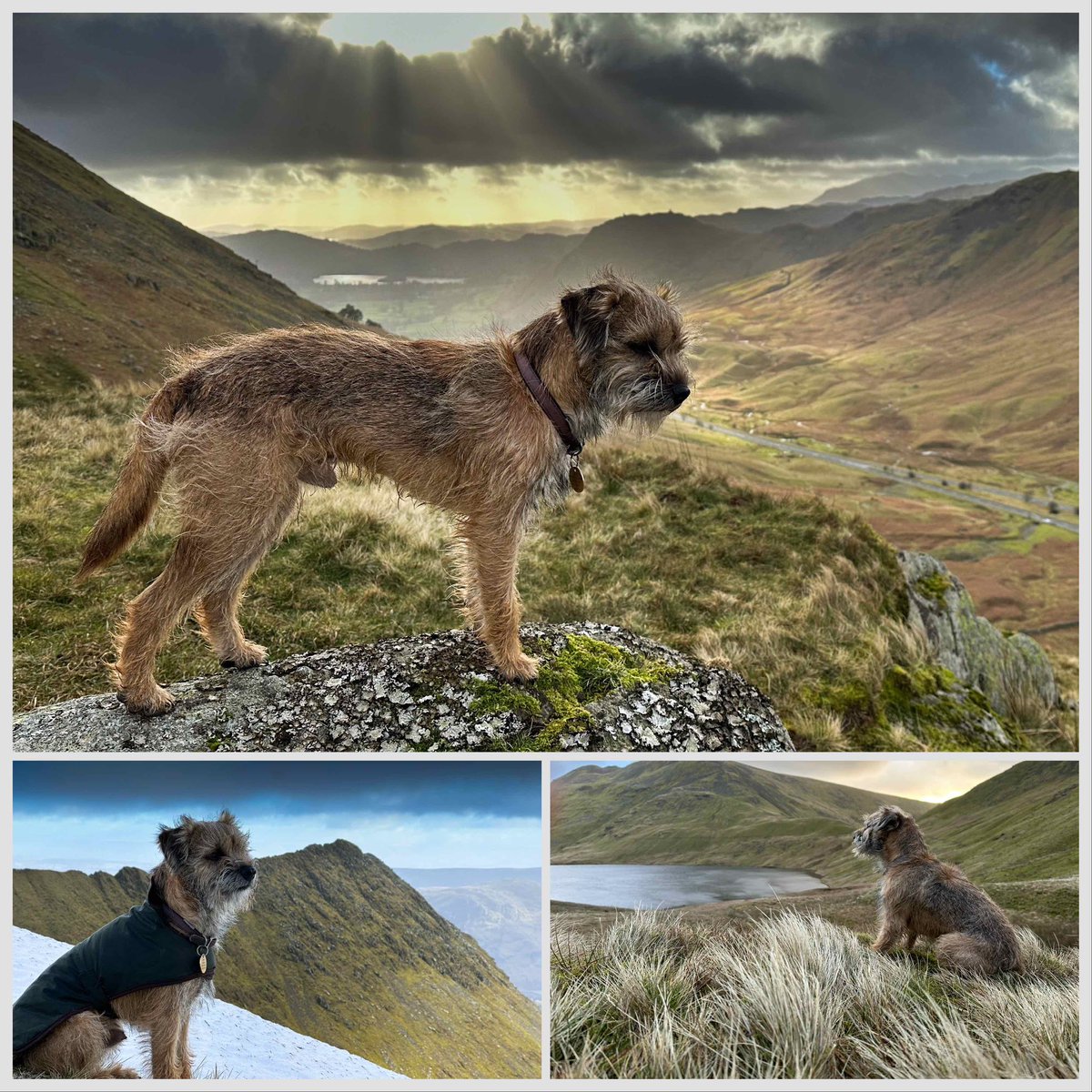 High fells today with a tramp up Helvellyn. It was so cold with a bitter wind chill near the top @BorderSeth wore his coat! #cumbria #lakedistrict #wainwrights