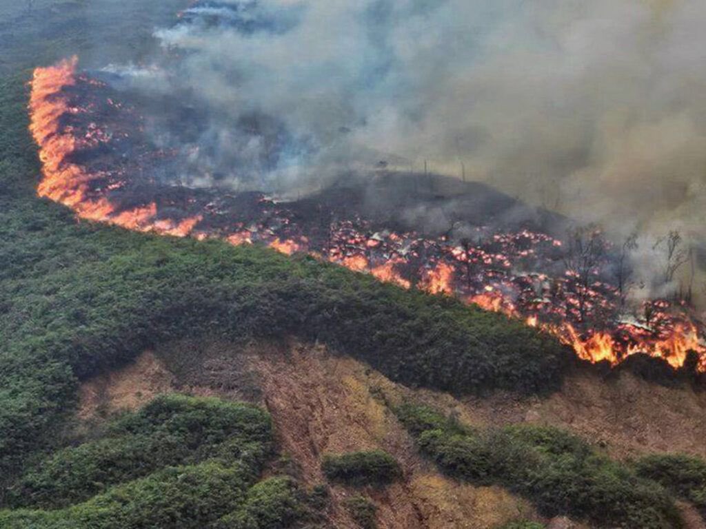 subcantante's tweet photo. Si le diéramos el valor que merece a la  Educación Ambiental, no nos preguntaríamos “qué hacemos?” Mientras se queman las montañas, estaríamos diariamente en acción protegiendo la vida y el territorio. 

#DíaDeLaEducaciónAmbiental https://t.co/ma6Q1e5yPG