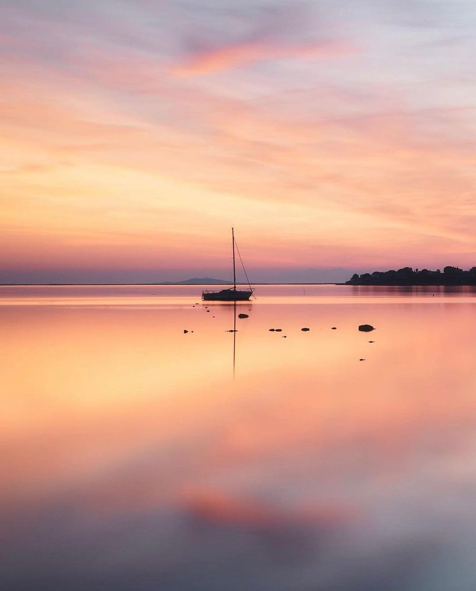 #LeSaviezVous ? Le bassin de Thau est un véritable site naturel ! Il regroupe plus de 400 espèces végétales et 100 espèces animales ! 🌱

📸 @‌fableephotography

#MALC #france3 <a href="/FranceTV/">France tv</a> <a href="/TourismeSete/">Tourisme Archipel de Thau Destination Méditerranée</a> <a href="/MeteoHerault/">Météo Hérault</a> <a href="/Occitanie/">Région Occitanie</a> <a href="/F3Occitanie/">France 3 Occitanie</a> <a href="/VoyageOccitanie/">Voyage Occitanie</a>