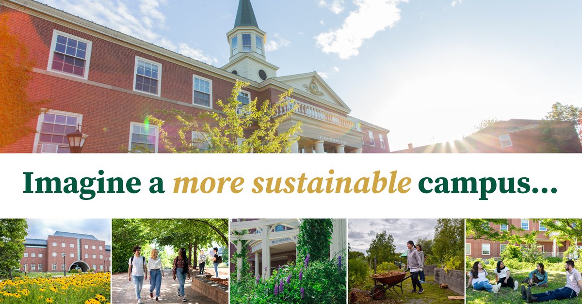 We want a greener campus - and we know you do, too! That’s why we're inviting the whole STU community to help shape the future of our environmental policy. Help us create a policy that reflects our shared commitment to an environmentally sustainable campus.