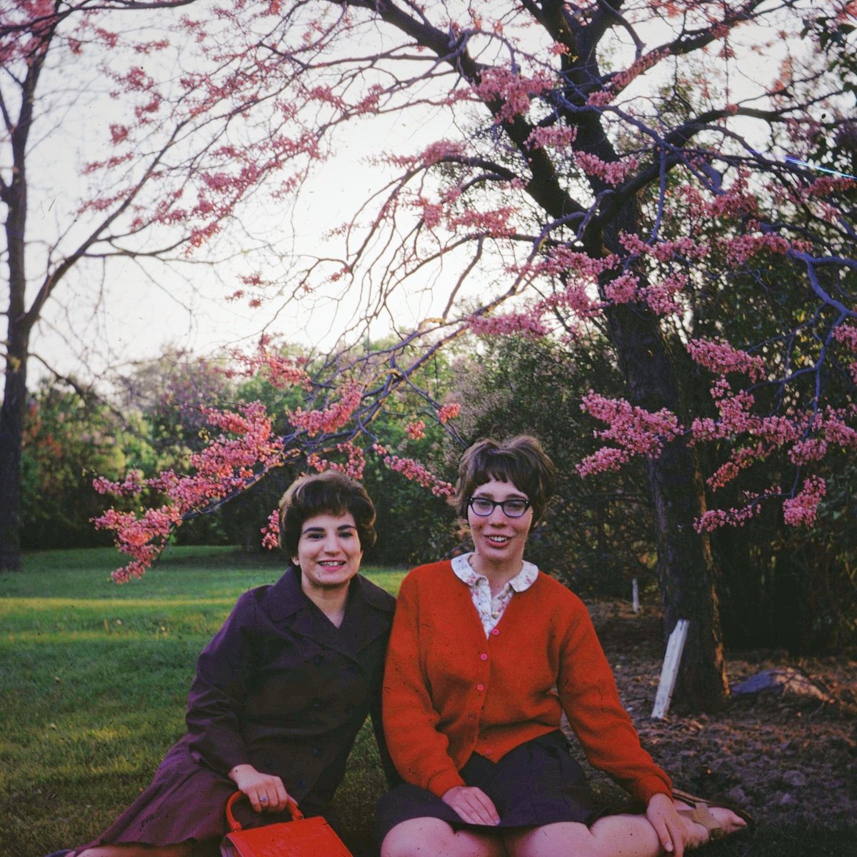 💀 Unholy Enchantress 💀 tweet media