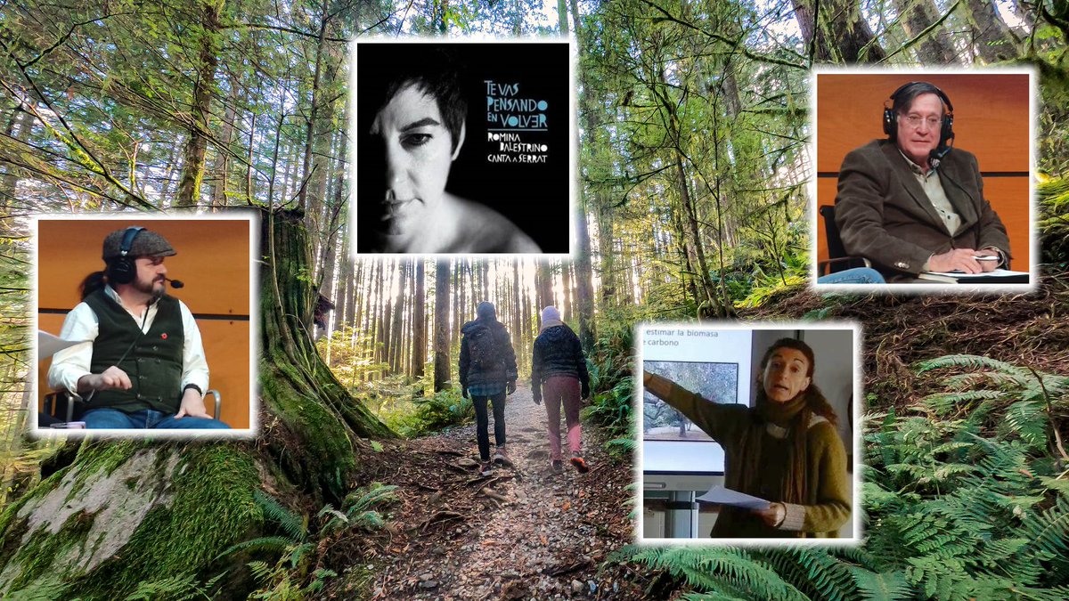 Los guardabosques suplentes regresan a la arboleda sonora de Mª José Parejo. Este domingo con Nicolás de la Carrera, <a href="/joaquinaraujo/">Joaquín Araujo</a>, <a href="/alcanduerca/">Raúl de Tapia Martin</a>, <a href="/manu_salvado/">Manuela Salvado</a> y música en vivo de Romina Balestrino. A las 10 h en <a href="/radio3_rne/">Radio 3</a>.

HT: #TeVasPensandoEnVolver y  #BosqueHabitadoRadio3.