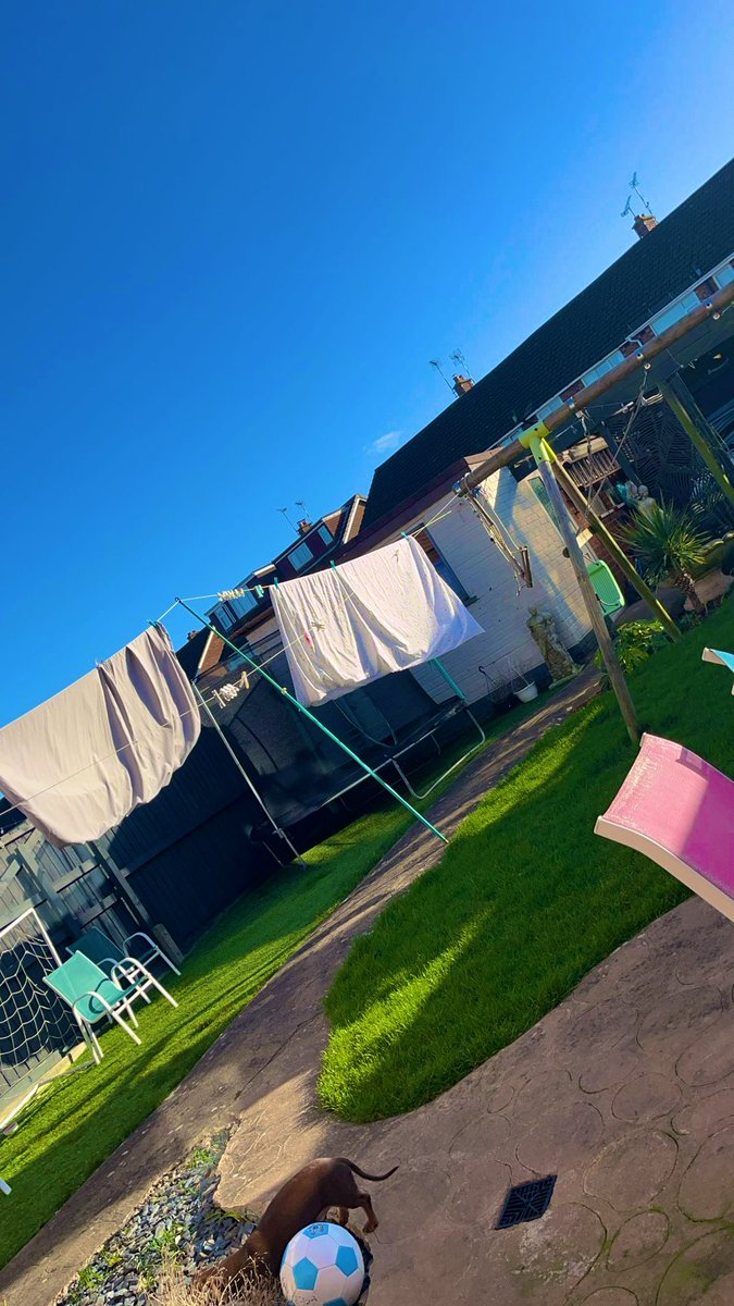 WithAC86's tweet image. I cannot wait for spring to arrive &amp;amp; to get out in the garden, tidy it up &amp;amp; prep ahead for summer, what a beautiful day 🤩 #LineDried ☀️☀️