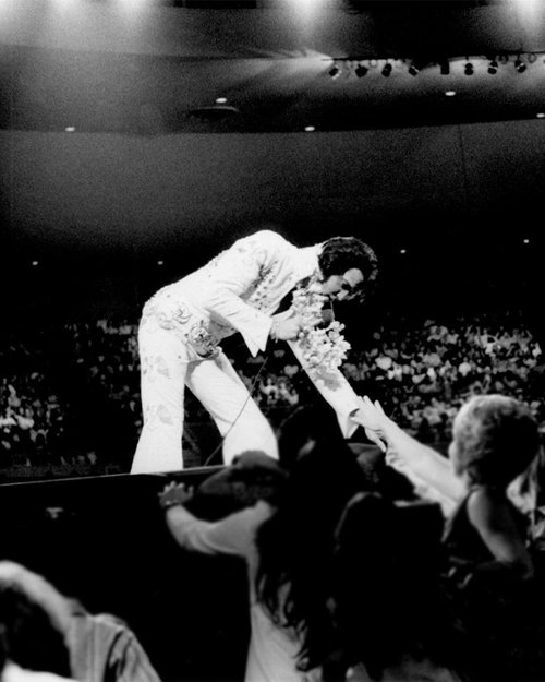 Kicking off the 'Aloha From Hawaii' special, Elvis first belted out 'See See Rider,' followed by the fiery 'Burning Love.'

#ElvisPresley #AlohaFromHawaii #Anniversary #Broadcast #Hawaii #Icon