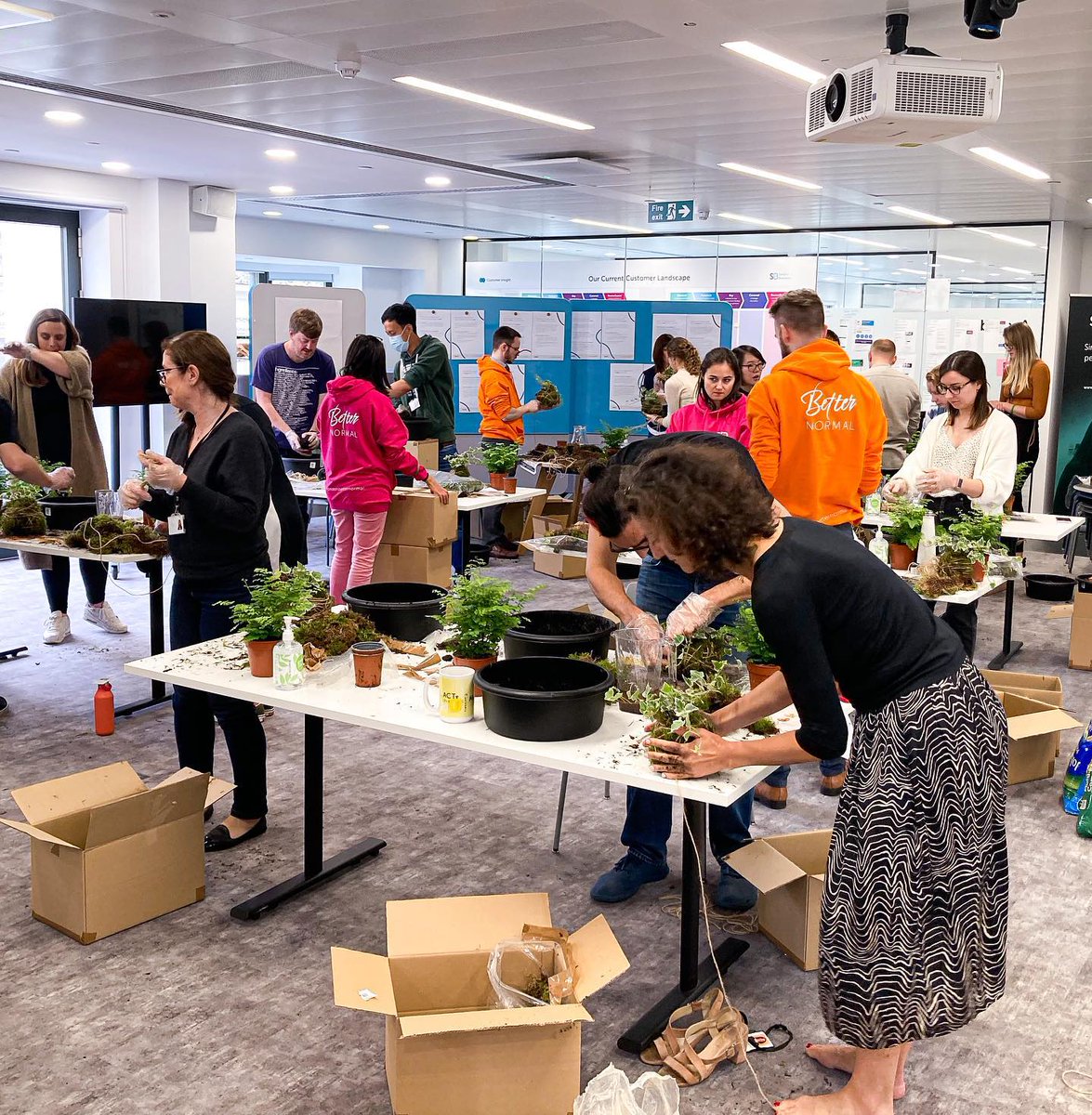 Ferris Heart Sloane tweet media