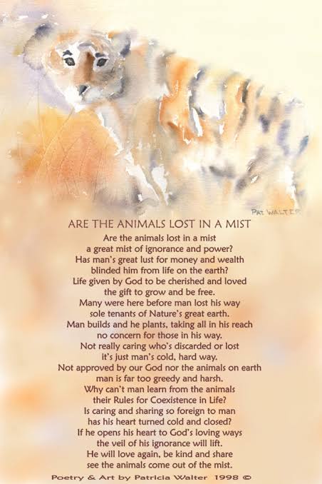 Save Animal
Conserve Animals and Plants (Forest)
Save Your Future.