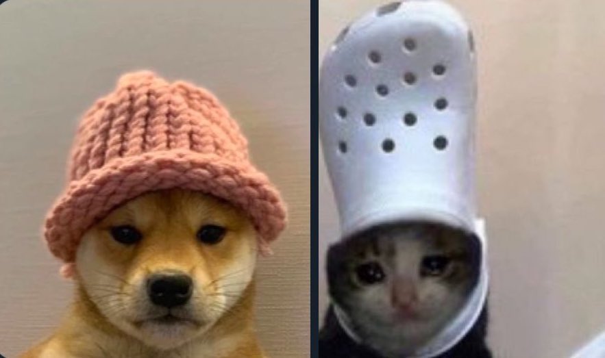 Investor tweet media