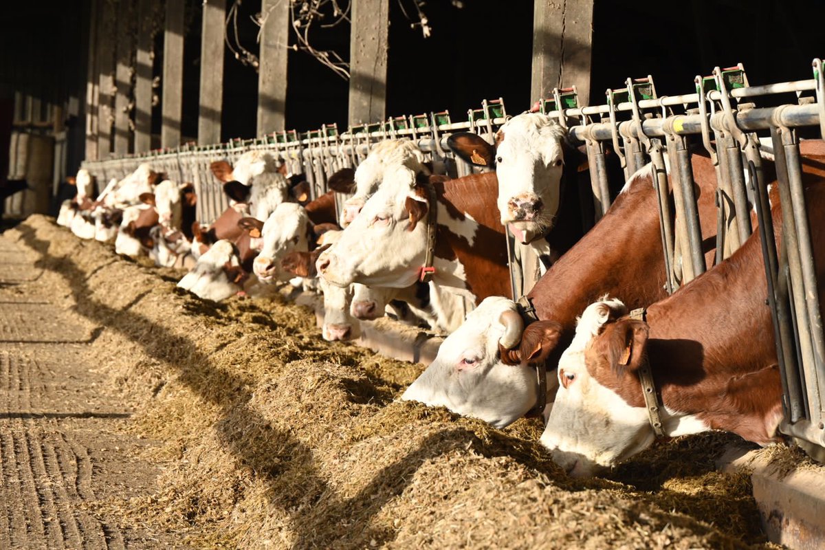 Edouard Philippe tweet media