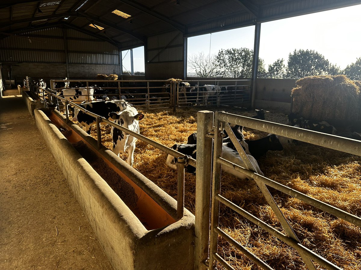 TechMixGlobal's tweet photo. Great trip today to discuss calves and calf technology solutions. Thanks to David in @mackiesscotland for showing us around! Great farm, great animals, but most importantly, lovely chocolate and ice cream! 🐄🍫🍨 https://t.co/F101Iswvbx