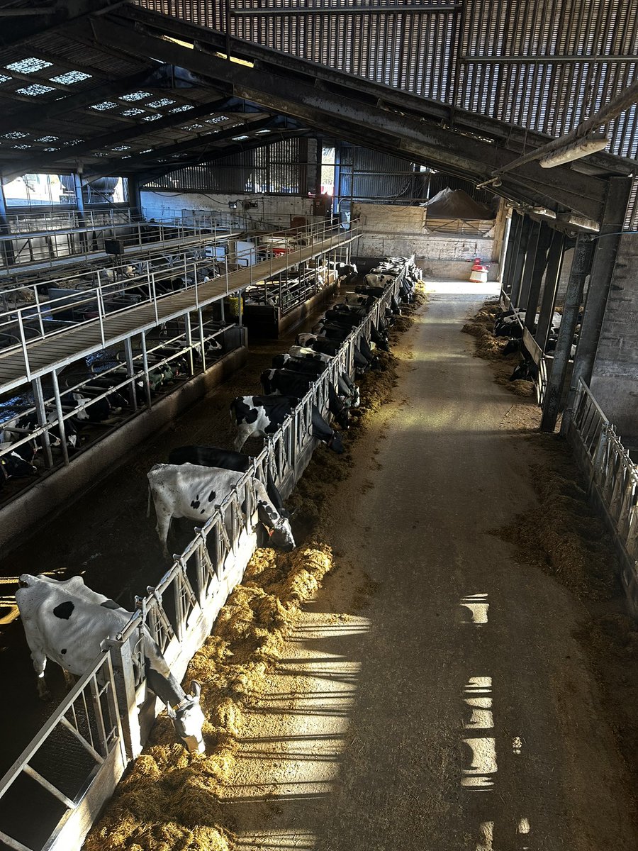 TechMixGlobal's tweet photo. Great trip today to discuss calves and calf technology solutions. Thanks to David in @mackiesscotland for showing us around! Great farm, great animals, but most importantly, lovely chocolate and ice cream! 🐄🍫🍨 https://t.co/F101Iswvbx