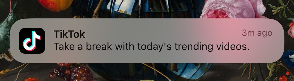 TikTok perdiendo #karmapoints