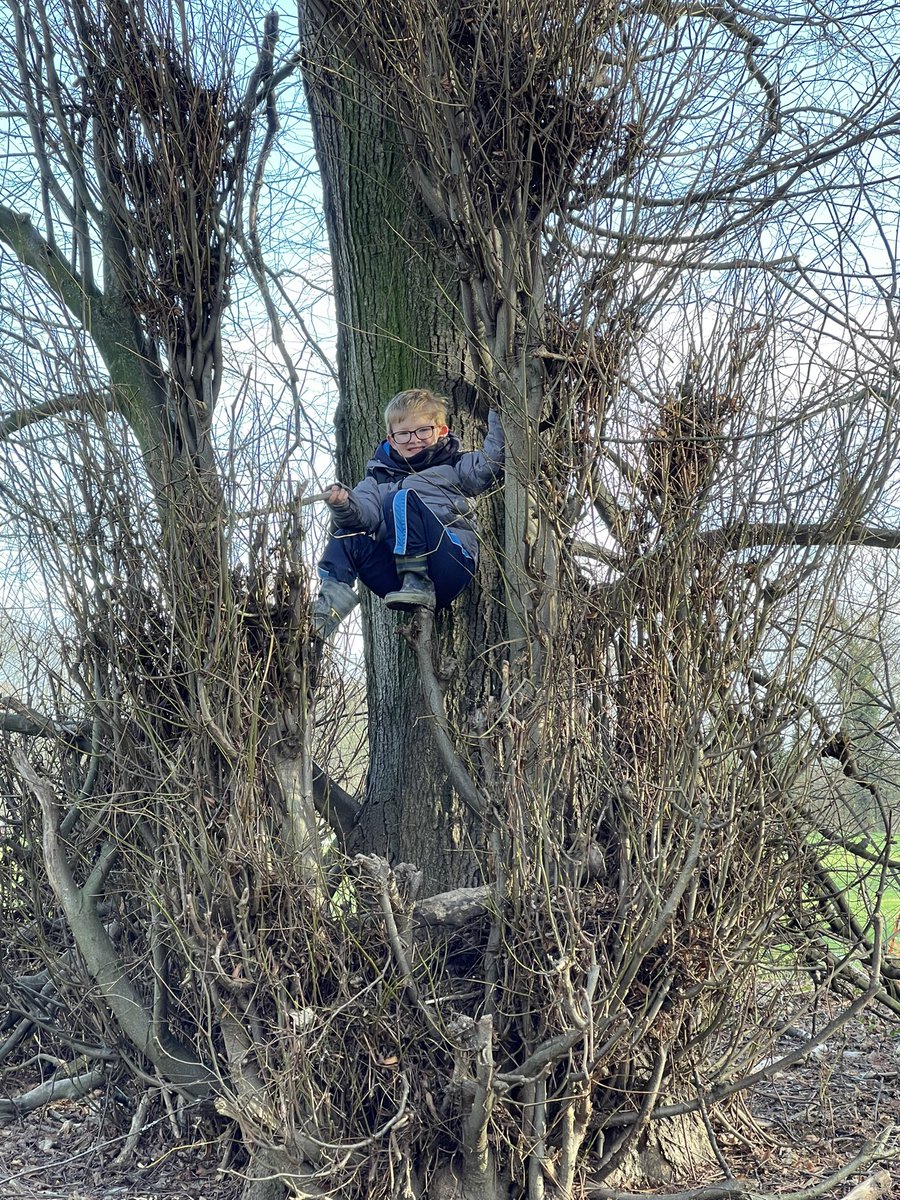 CHouse1779's tweet image. Year 1 and 2 Forest School have been using loppers and learning to tie knots. #learningthroughnature #UKForestSchool @BritishBoarding