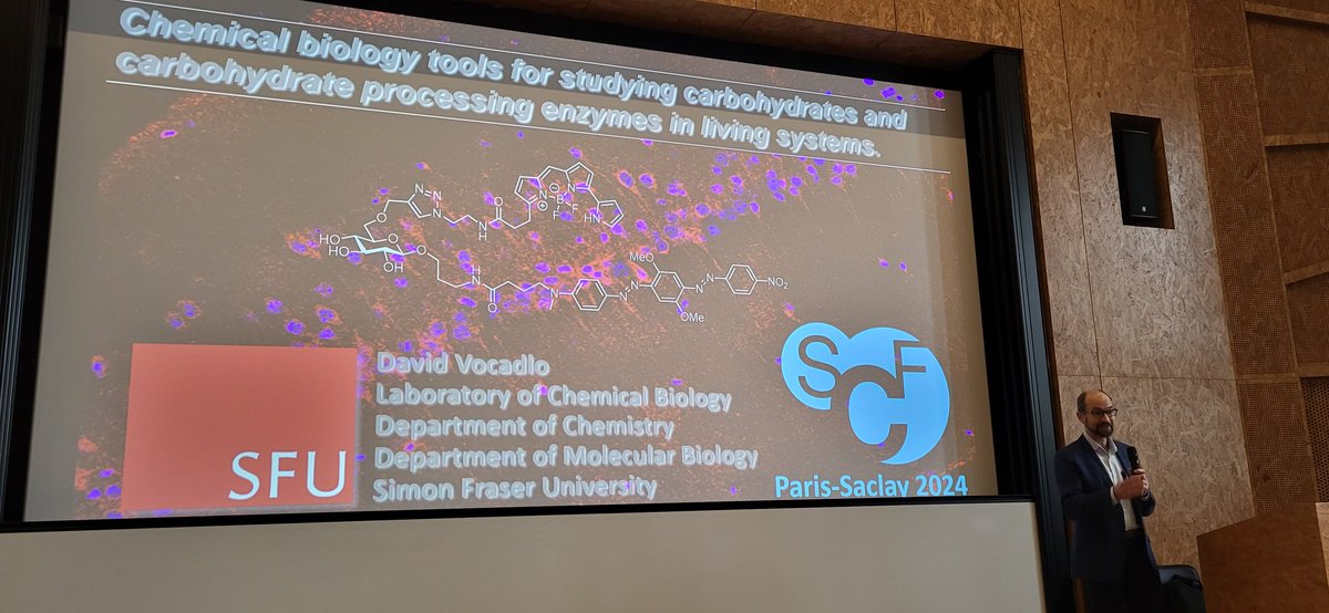 Sebastien Vidal tweet media