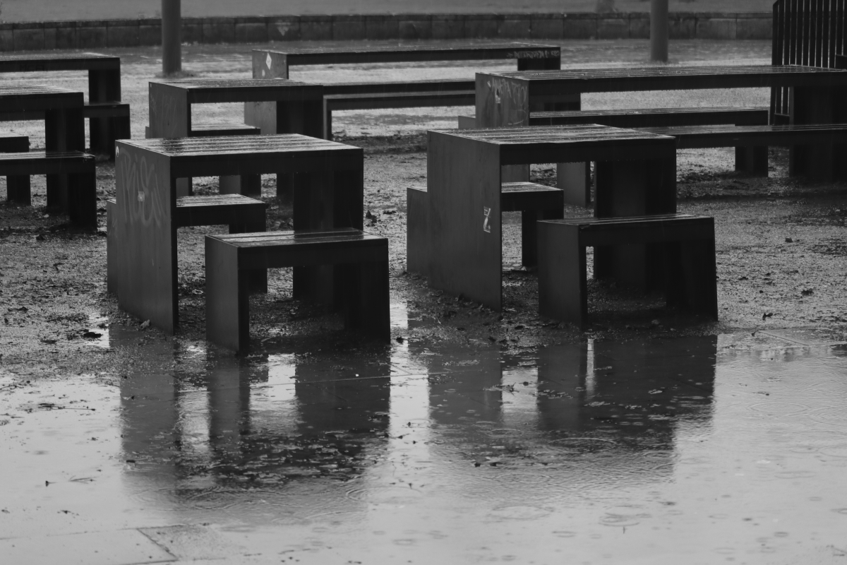 DrCKaiser's tweet photo. #photo #photography #blackandwhite #Regentag #landscape #landscapephotography #rain #blackandwhitephotography #monochrome #winter https://t.co/Baybtt0o76