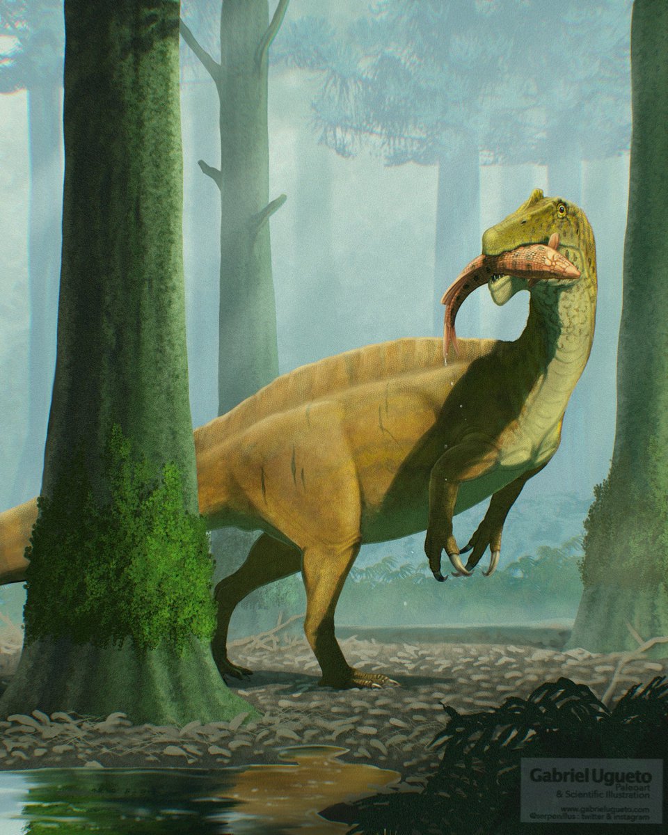 Lunch to go for the spinosaur Vallibonavenatrix