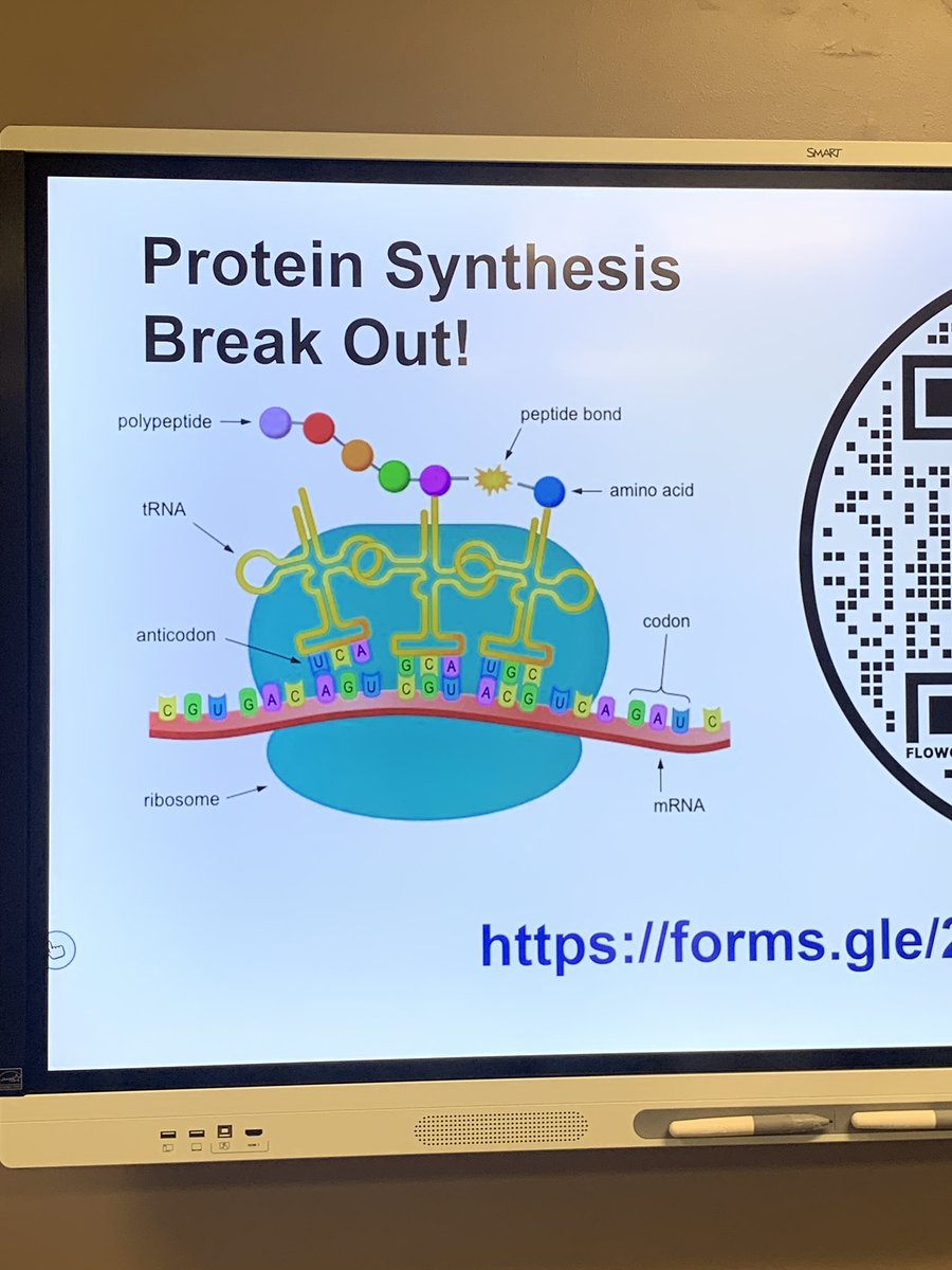 Sherri Wagner tweet media