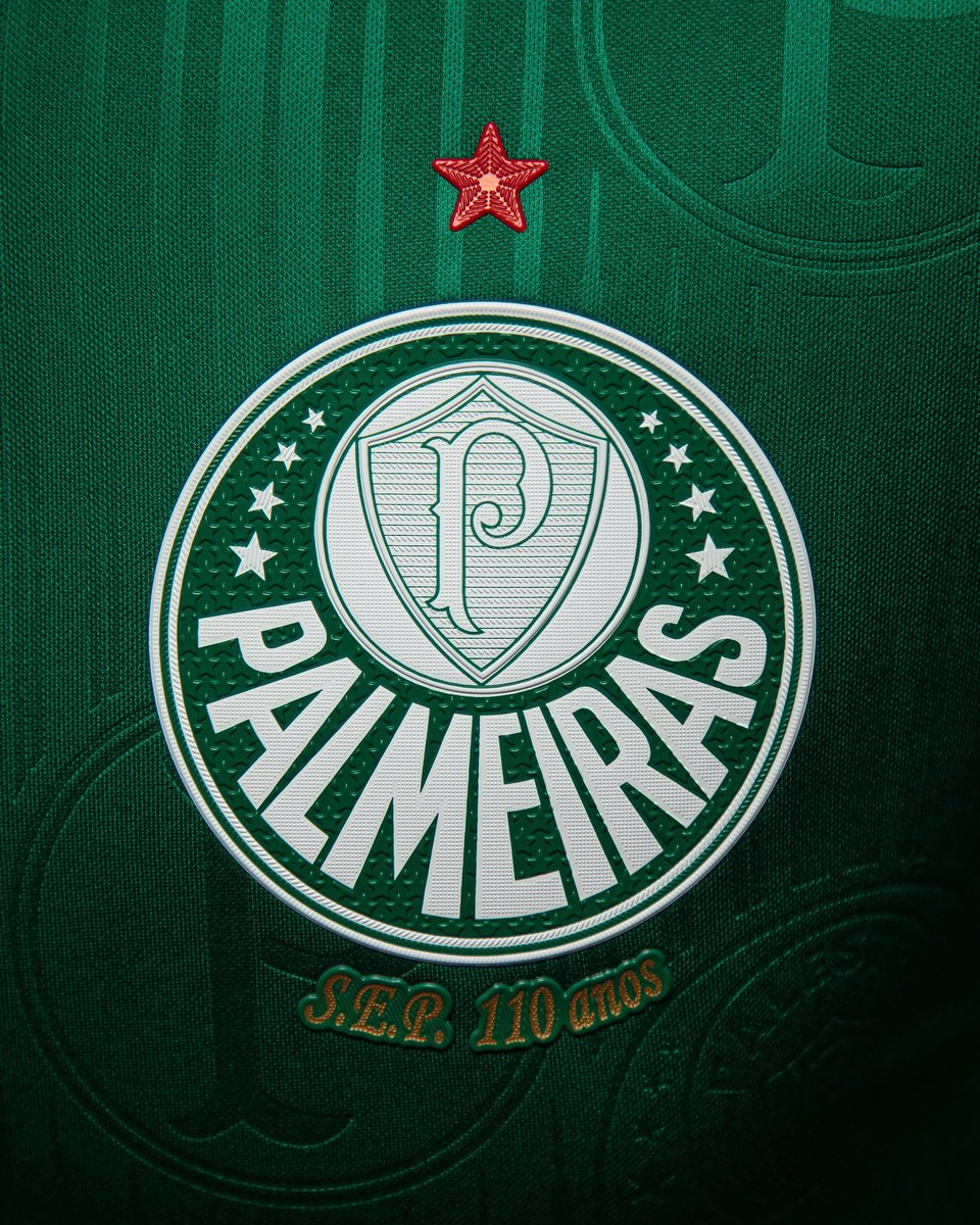 Sério... Não tem escudo NO MUNDO mais bonito que o do Palmeiras!