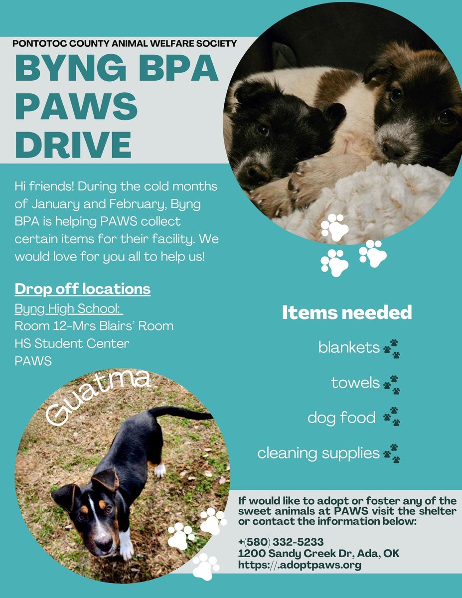 Byng BPA wants to help our local animals and animal shelter, PAWS. Please see the attached flyer. 
#piratepride