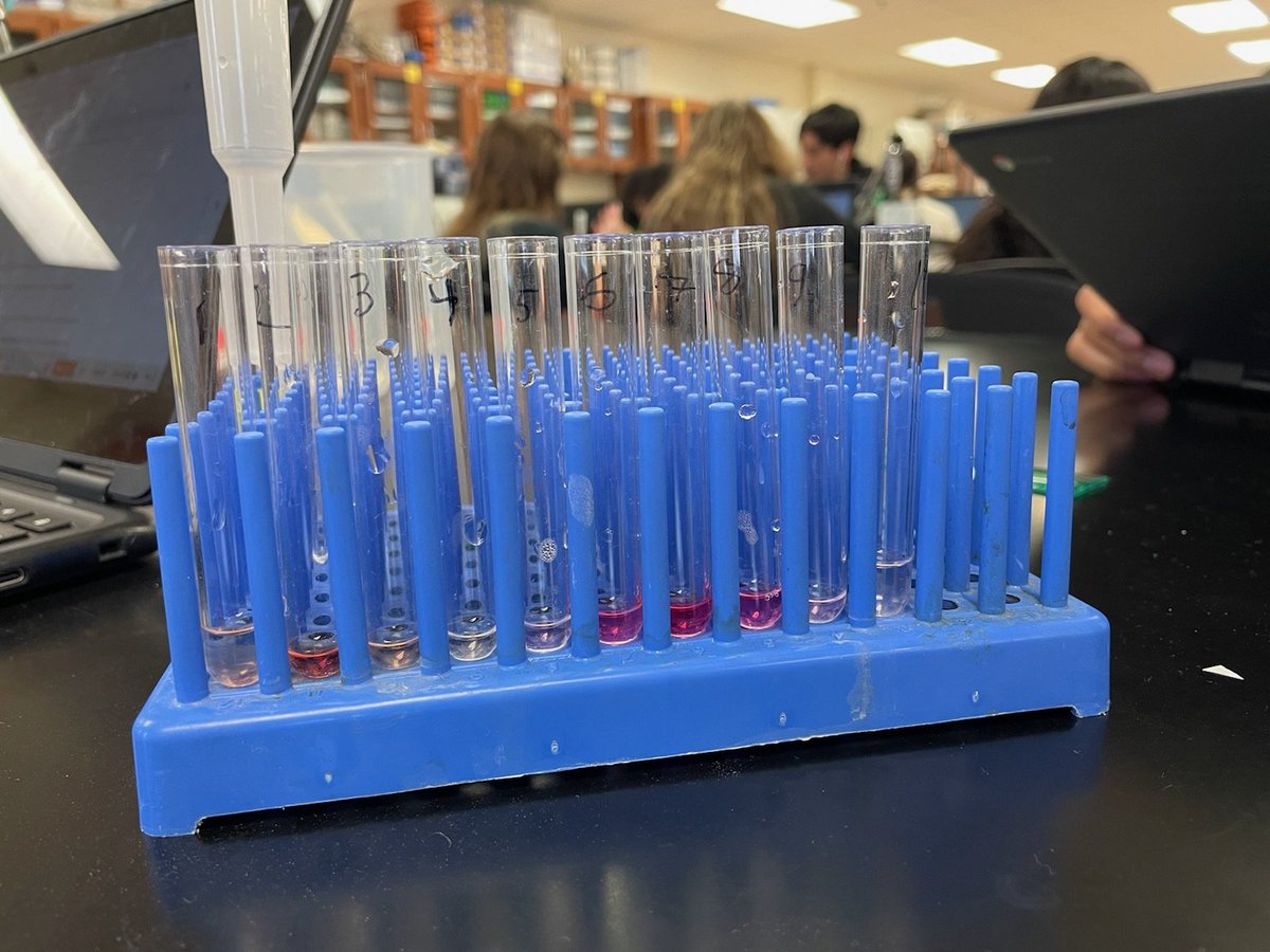 Size Exclusion Chromatography
Hemoglobin is responsible for the red/pink coloration while Vitamin B12 is responsible for the brown coloration. #HawksSoar <a href="/RidgeAcademies/">The Ridge Academies</a>