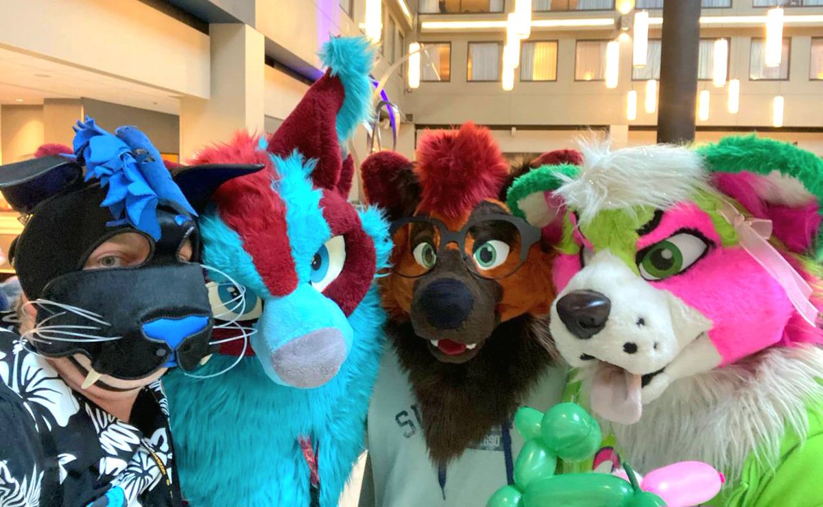 melon_corgo's tweet photo. Throwback to Furpoc for #FursuitFriday!
#FP2023
🐱 - @TyTheSaber
😾 - @bram_cat
🐕 - @FlumeFusky
🪡 - @corgilegs @lemonbrat https://t.co/ncsYyGoHlv
