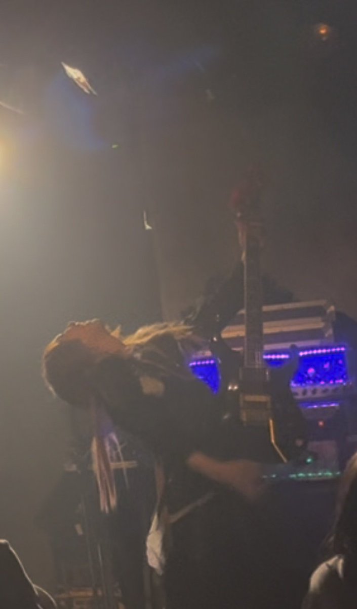 SHOGO🦋ROSE KINGDOM tweet media