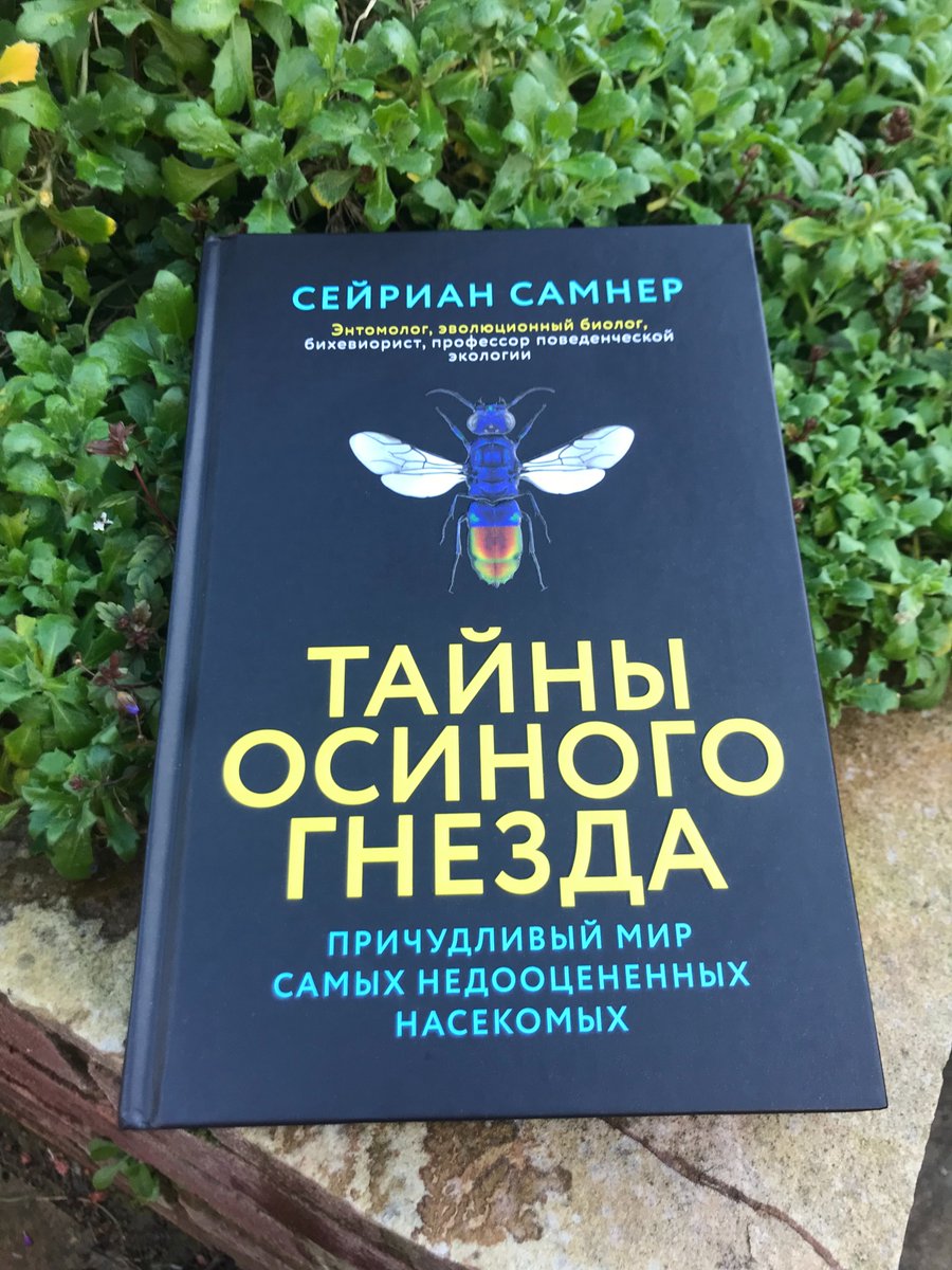 WaspWoman's tweet image. Friday treats! I finally get my copy of the #Russian translation of #EndlessForms!
Title: &quot;Secrets of the wasp&apos;s nest. The Bizarre World of the Most Underrated Insects&quot;.
Thanks  to Pavel Volkov for translating, and Azbooka-Atticus for publishing.  azbooka.ru/books/tayny-os… @zcosini