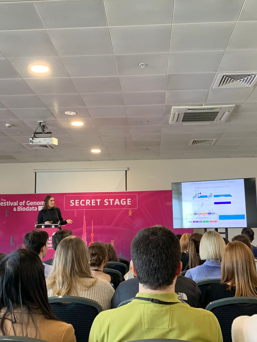 GOLD Lab (@goldlab_ucd) on Twitter photo 💫 busy week for Gold Lab team! Michela was presenting our work on #lncRNA #therapeutics for #cancer at the <a href="/FoGenomics/">The Festival of Genomics & Biodata</a> Secret Stage 💫 busy week for Gold Lab team! Michela was presenting our work on #lncRNA #therapeutics for #cancer at the <a href="/FoGenomics/">The Festival of Genomics & Biodata</a> Secret Stage