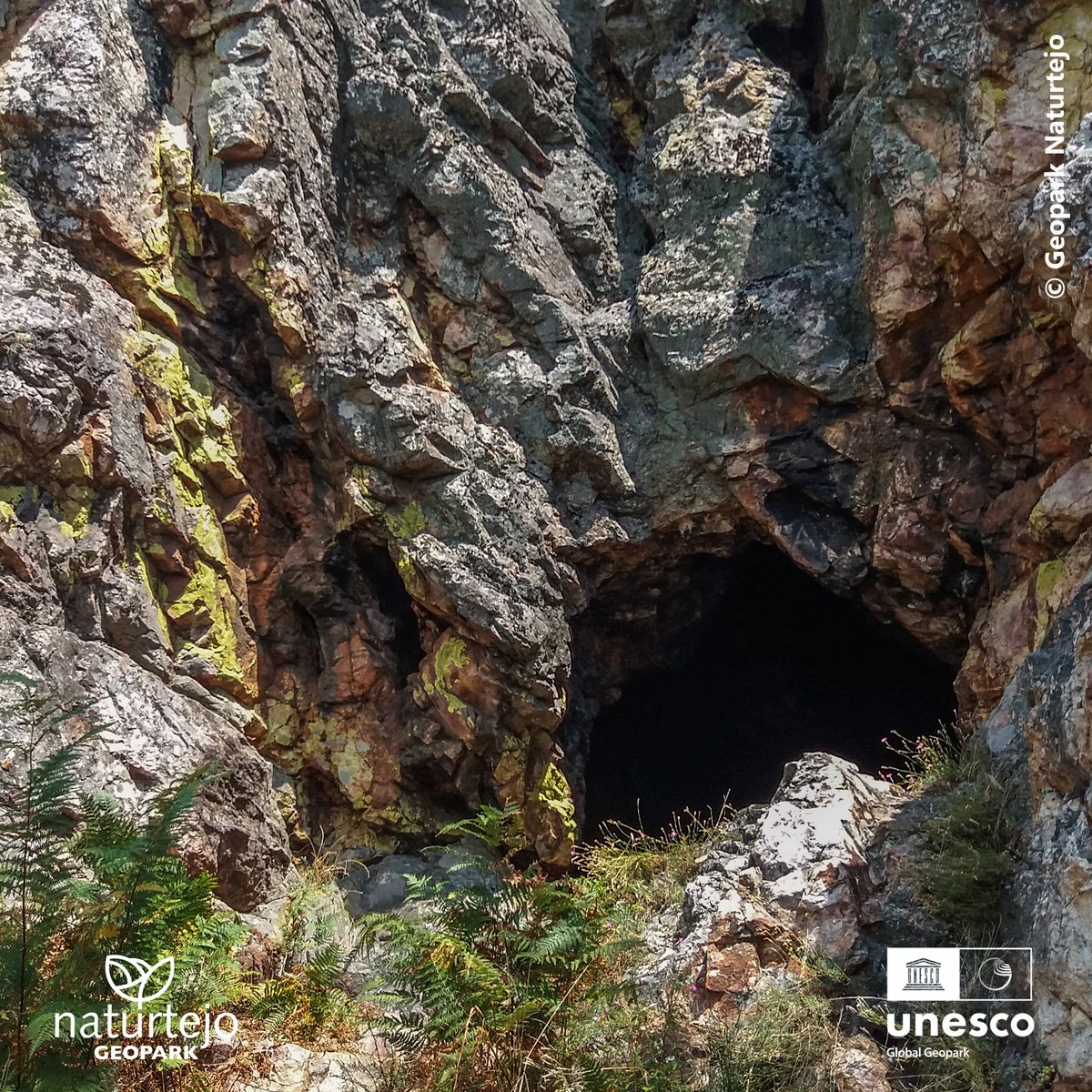 Geo_Naturtejo's tweet photo. Buraca da Moura in Chão de Galego,in Serra das Talhadas, is linked to ancient legends & mysteries.This #geosite is characterized by an underground gallery of small dimensions in the quartzite rocks, where mining exploitation is thought to have occurred dating back to the Iron Age https://t.co/VMIPlnSMkO