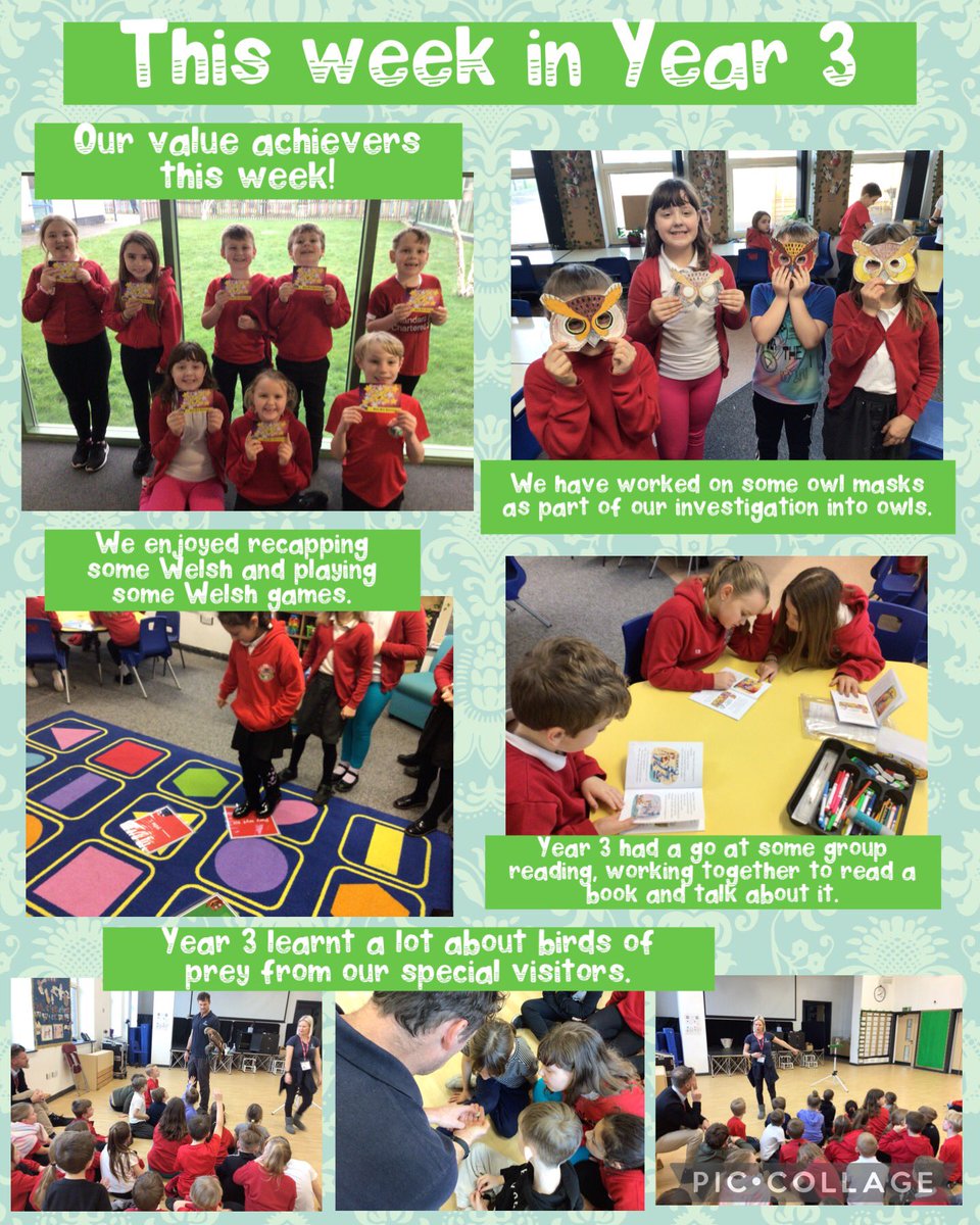 Maes Y Morfa tweet media