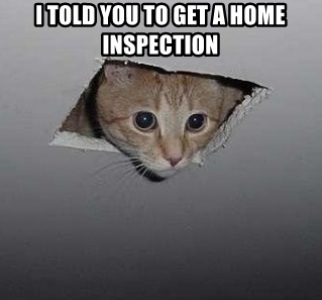 IT'S CRAZY PHOTO FRIDAY!😅