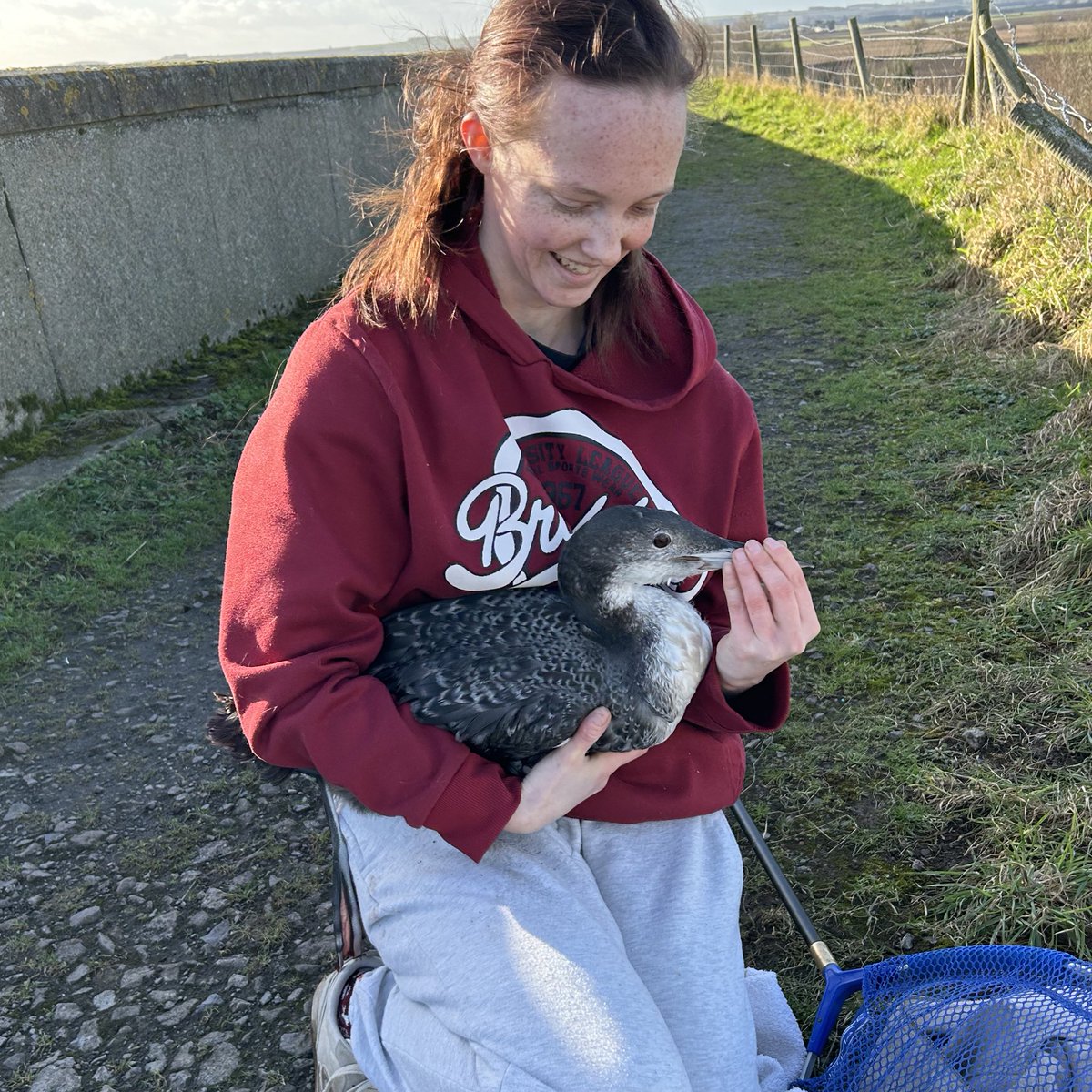 Alex Masterman tweet media