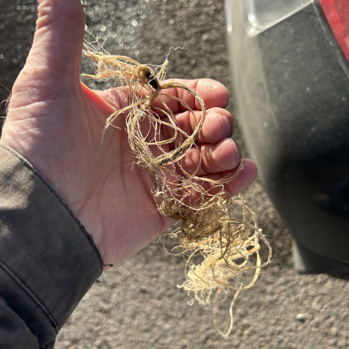 Alex Masterman tweet media