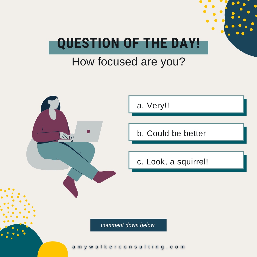 As business owners, we need to have a strong focus because it is the gateway to all thinking! 

How focused are you? 🤔

a) Very 🎯
b) Could be better 🤷‍♀️
c) Look, a squirrel 🐿️

#entrepreneur
#growyourbiz
#smallbusiness
#businessconsultant
#businesssolutions