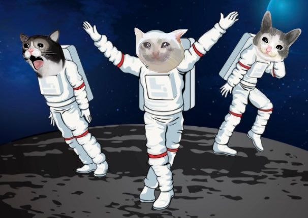 _schmuserkadser's tweet photo. $KAD is zooming to the next destination! 🚀 https://t.co/TU24MkekhV