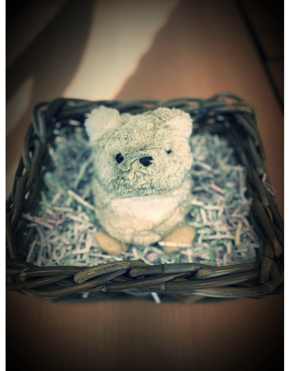 We would like to introduce you to our new class pet - Bobert 🐨😊