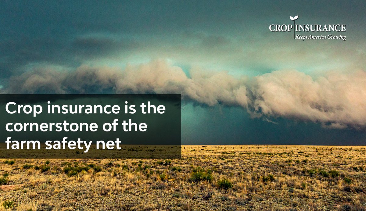#CropInsurance is the cornerstone of the #FarmSafetyNet.

Interested in learning more? Visit CropInsurance101.org to find videos, fact sheets, a glossary of common terms, and more. #CropInsurance101