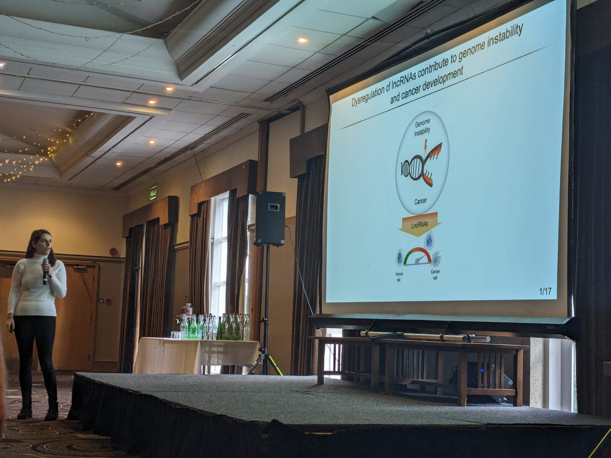 Giulia Guiducci tweet media