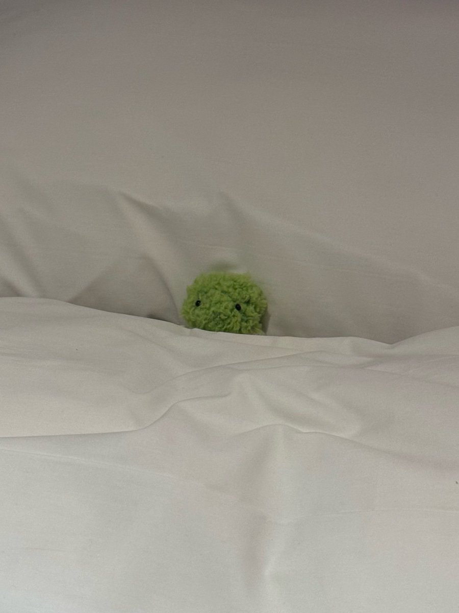 아직 잠들지마.. 우리 진실게임하자 좋아하는 이끼 있어?Translate post