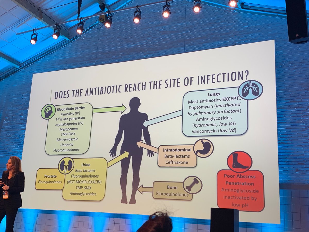 Acute antibiotics! And it’s impossible to NOT pay attention. Excellent lecture by Evelien de Jong